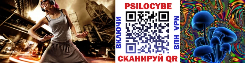 даркнет сайт  Кириши  мега tor  shop формула  Галлюциногенные грибы Psilocybine cubensis 